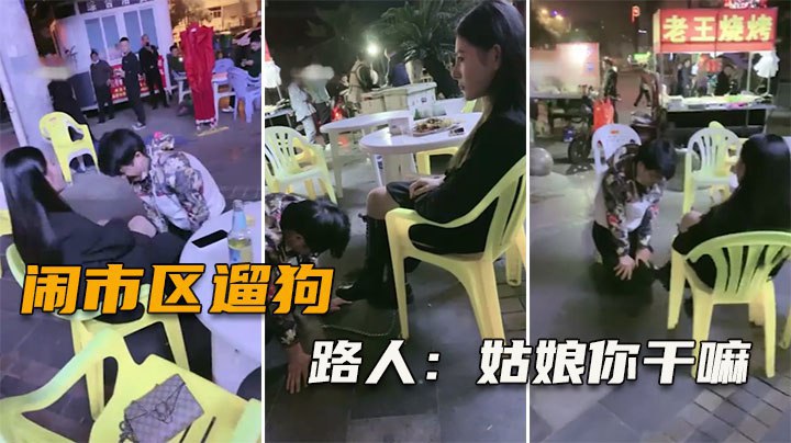 【闹市区遛狗】把路人给看傻了,纷纷表示牛逼