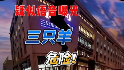 三只羊集团CEO卢文庆邢道荣电话会议录音门事件两分半完整版